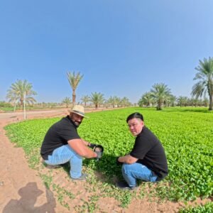 Soil care in farms using Agrovermi Organic compost