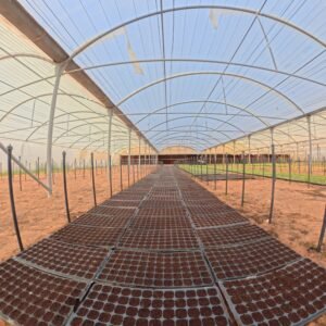 Growth stage vermicomposting