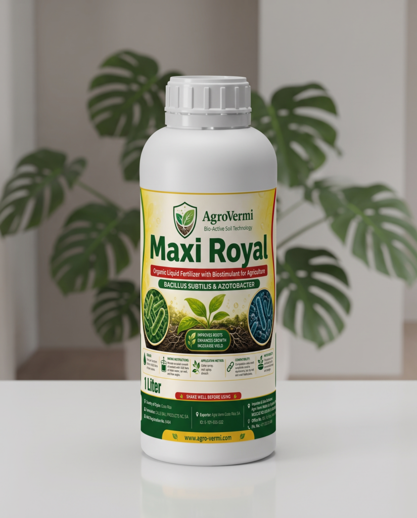 Maxi Royal